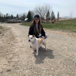 Meet your Posher, Max